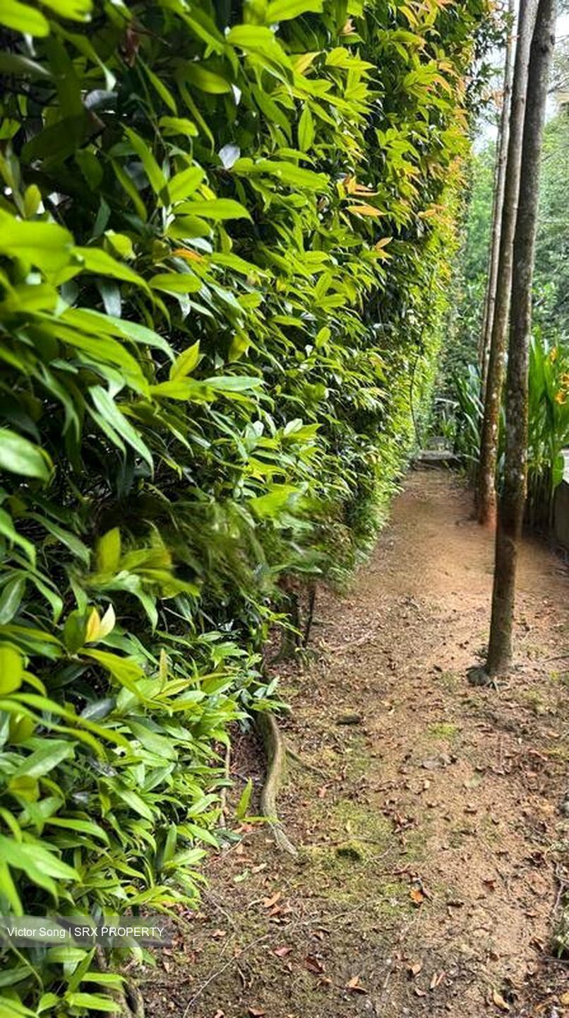 Leedon Park (D10), Detached #458203251